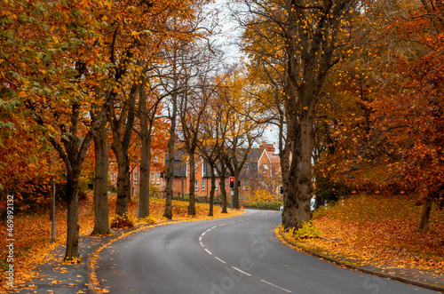 an autumn road in Worcestershire 