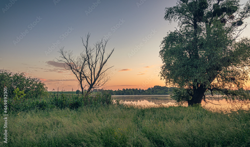 Naklejka premium Magic sunrise