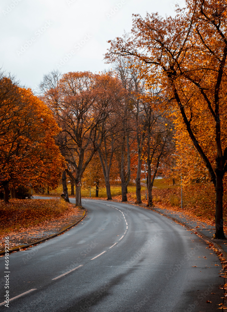 a road in an English autumn landscape