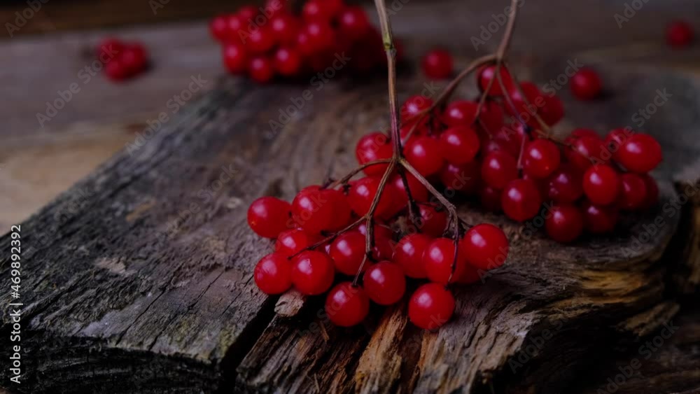 Berries of red viburnum close-up on a wooden background Berries of red viburnum close-up on a wooden background