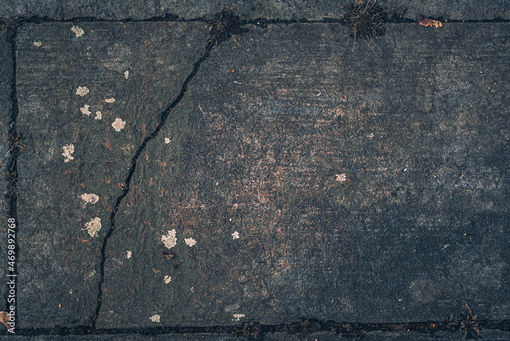 Obraz premium Nature beauty