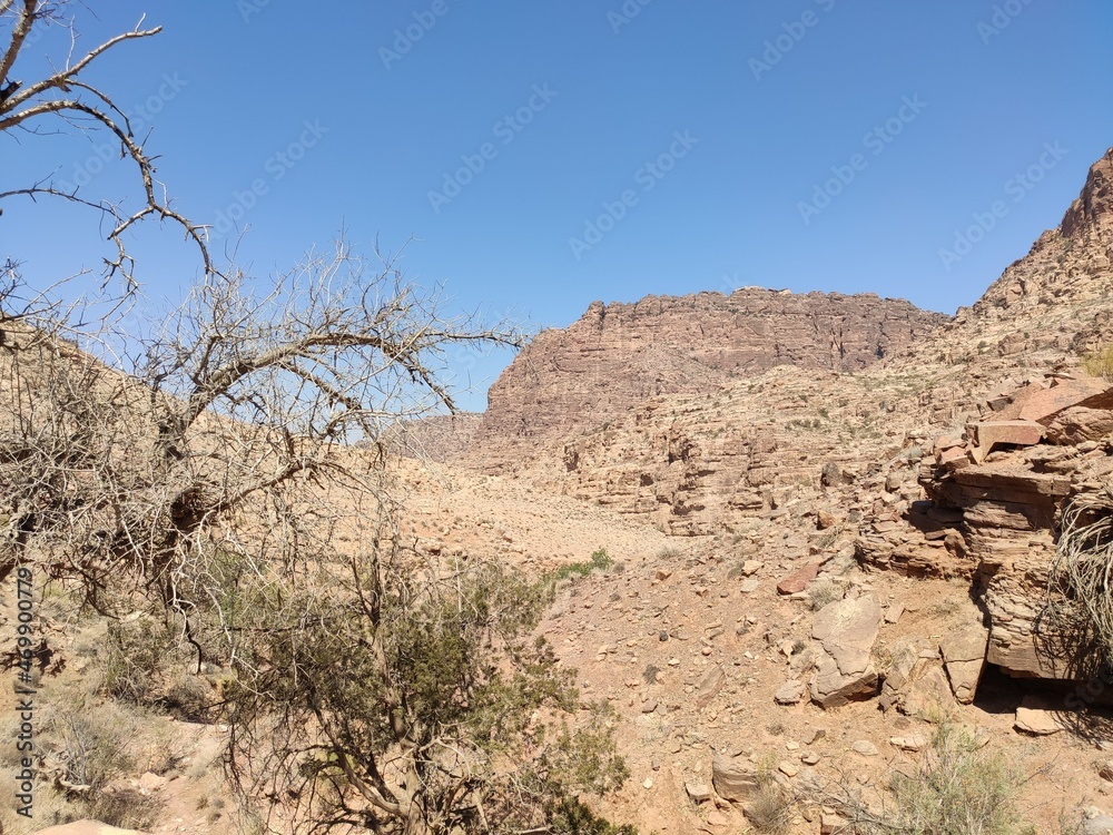 Dana, la plus grande réserve naturelle de Jordanie, marche en plein milieu d'une zone montagneuse rouge et blanche, avec un peu de verdure et de la forte chaleur, sans ombre, végétation morte