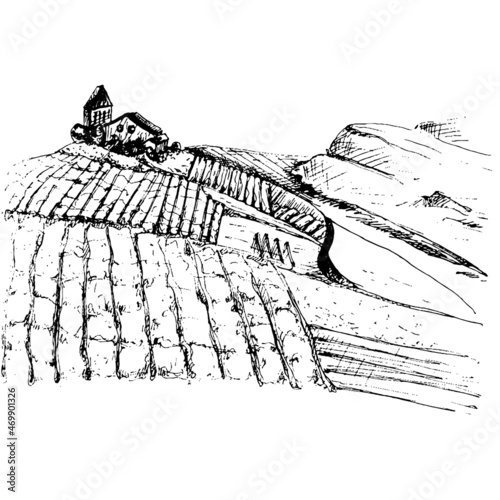 Rural landscape with villa and vineyard fields. Vintage color hatching