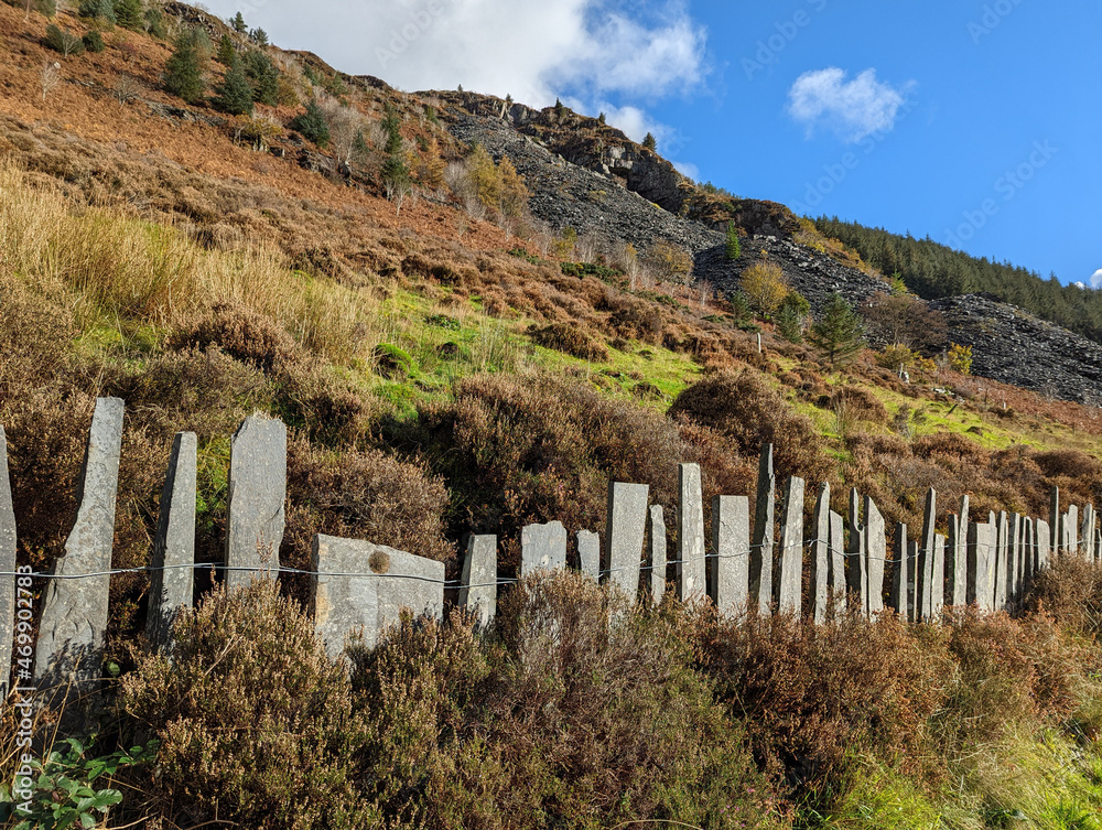 A close up of a a traditional Welsh fence made  with vertical slates wired together crossing a hillside.