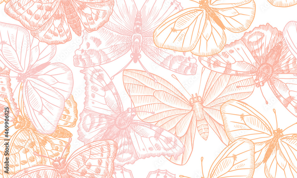 vector drawing seamless pattern with butterflies, hand drawn illustration