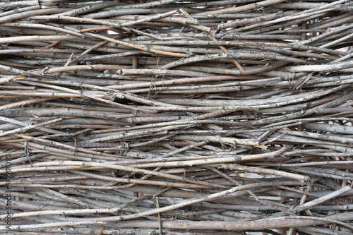Photo of intertwined brown thin long tree roots for fence. Abstract and natural background