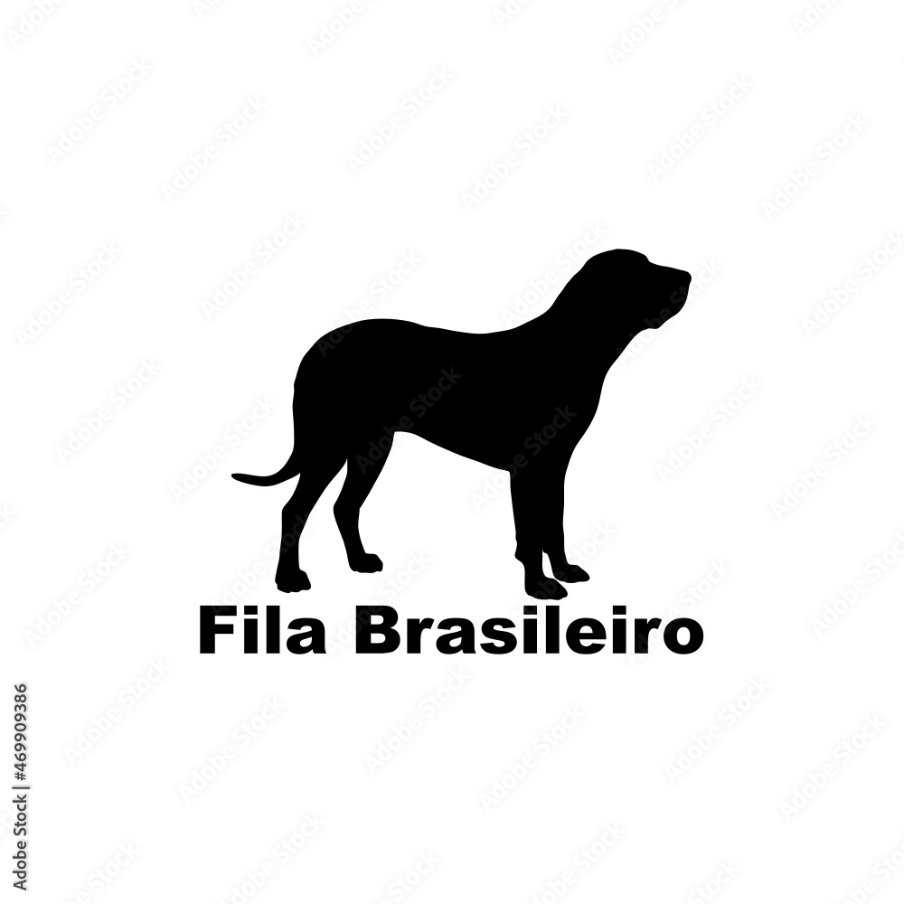 Fila Brasileiro
