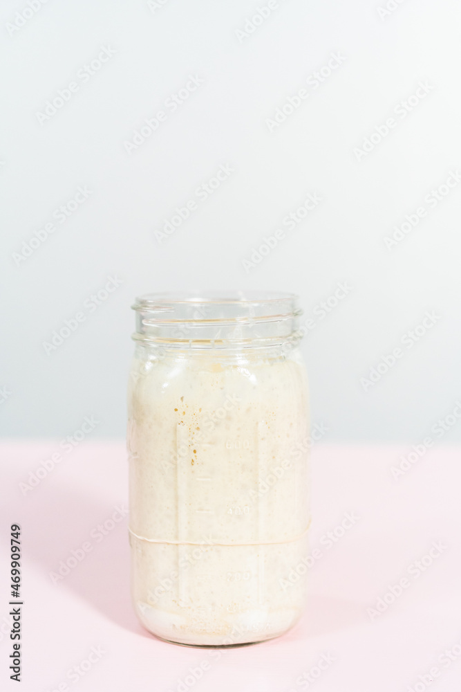 Sourdough starter Sourdough starter