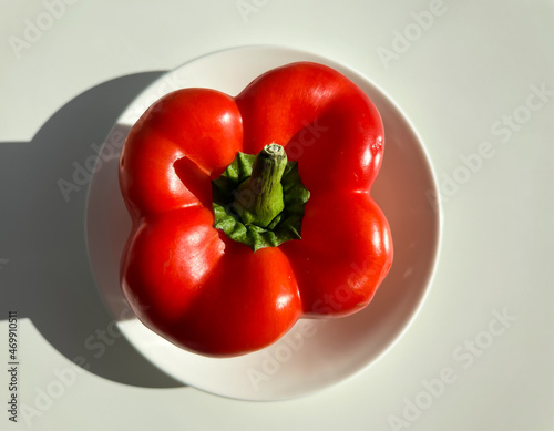 Top view of the red pepper on a white plate on the table. © Irina