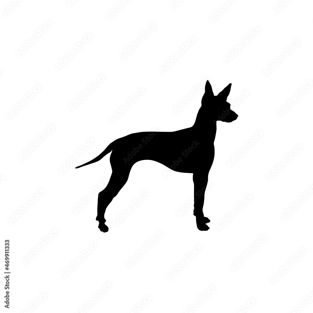 Obraz premium Dog silhouette. Breeds