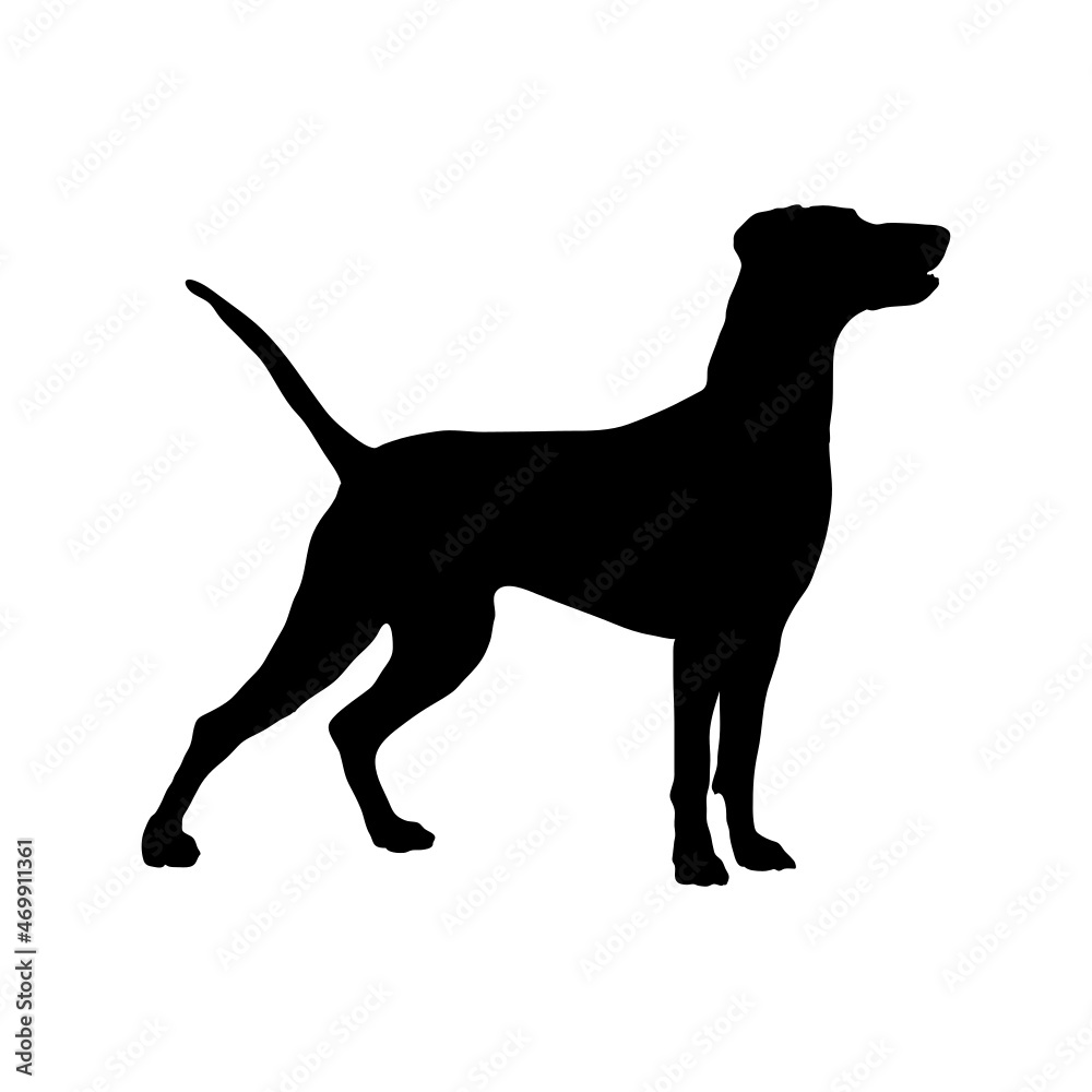 Dog silhouette. Breeds