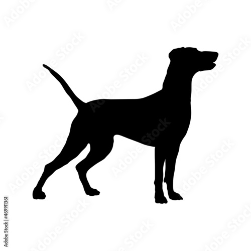 Dog silhouette. Breeds