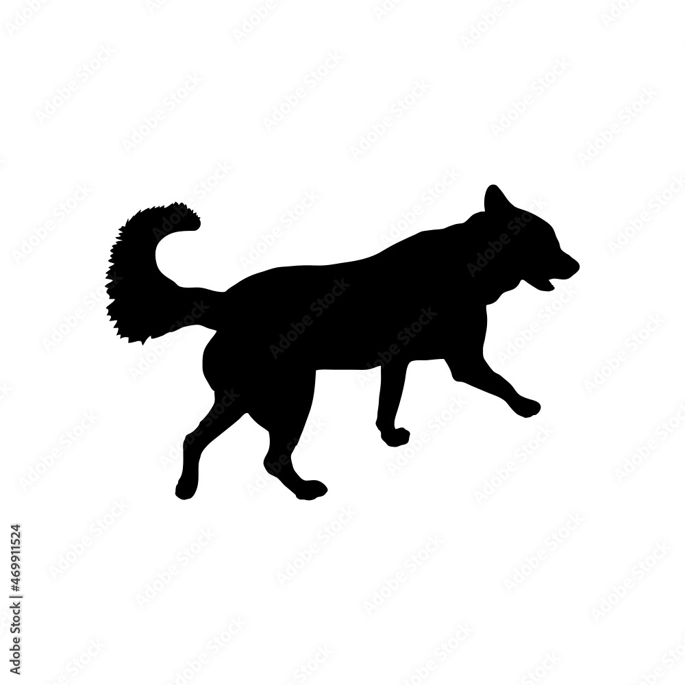 Obraz premium Dog silhouette. Breeds