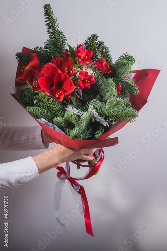 A woman holds in her hands a large and beautiful winter bouquet with amaryllis, fir branches, alstroemeria