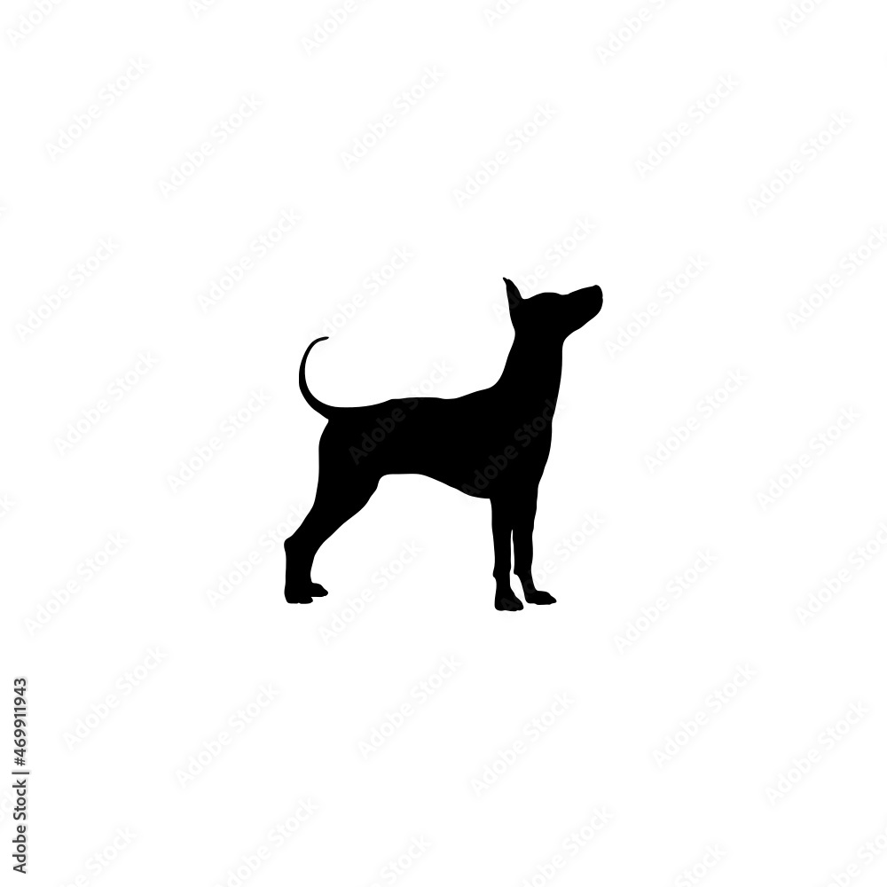 Dog silhouette. Breeds