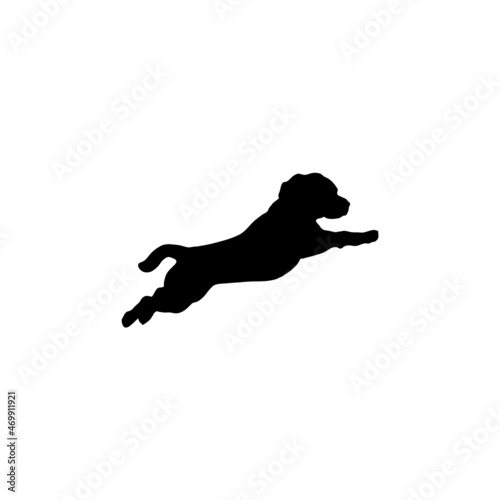 Dog silhouette. Breeds