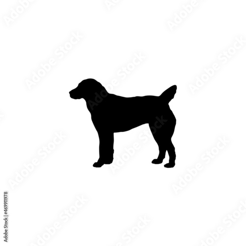 Dog silhouette. Breeds