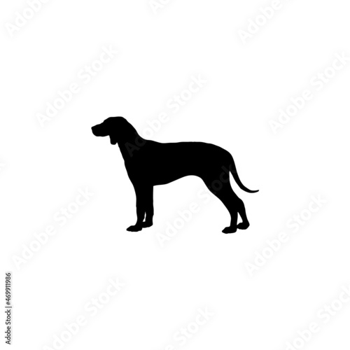 Dog silhouette. Breeds