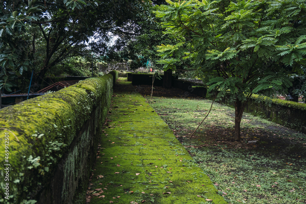 photograph of a small square covered with moss and trees. Small wall in the background. Landscape