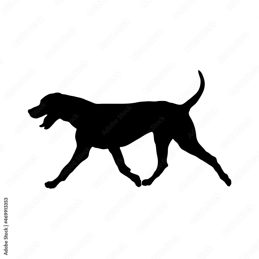 Dog silhouette. Breeds