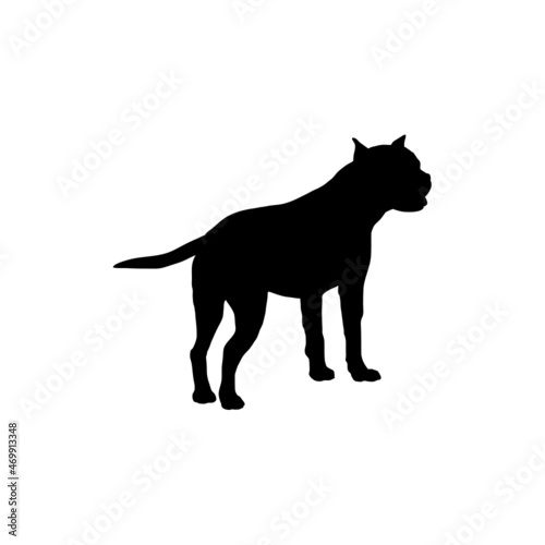 Dog silhouette. Breeds © Pony 3000