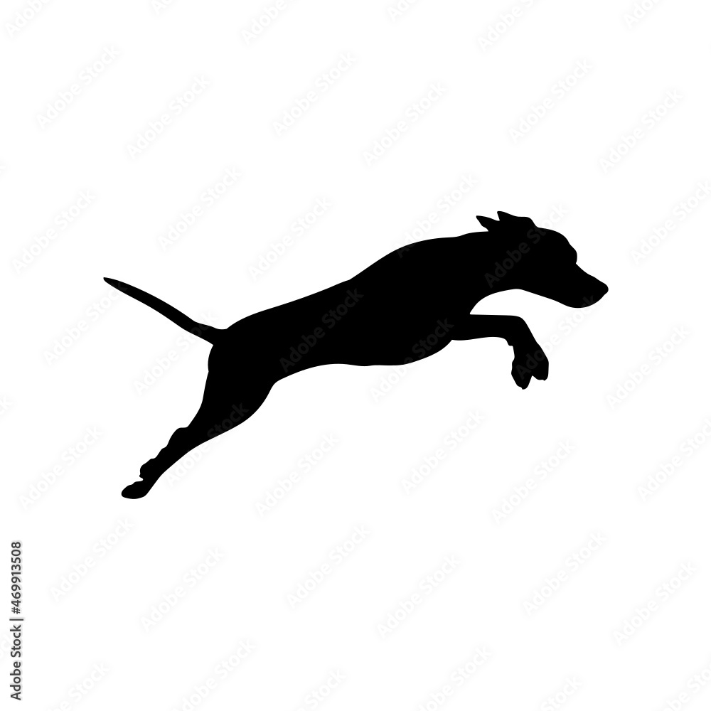 Fototapeta premium Dog silhouette. Breeds