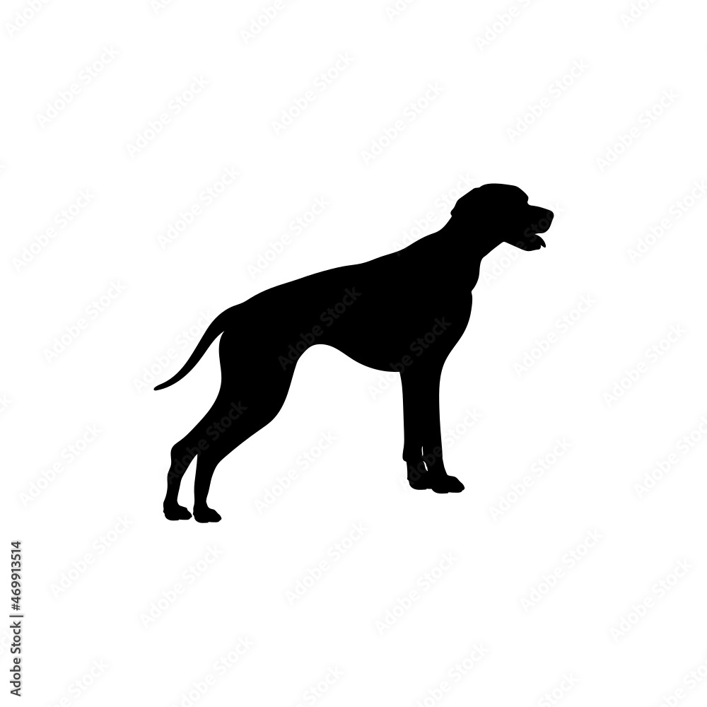 Dog silhouette. Breeds