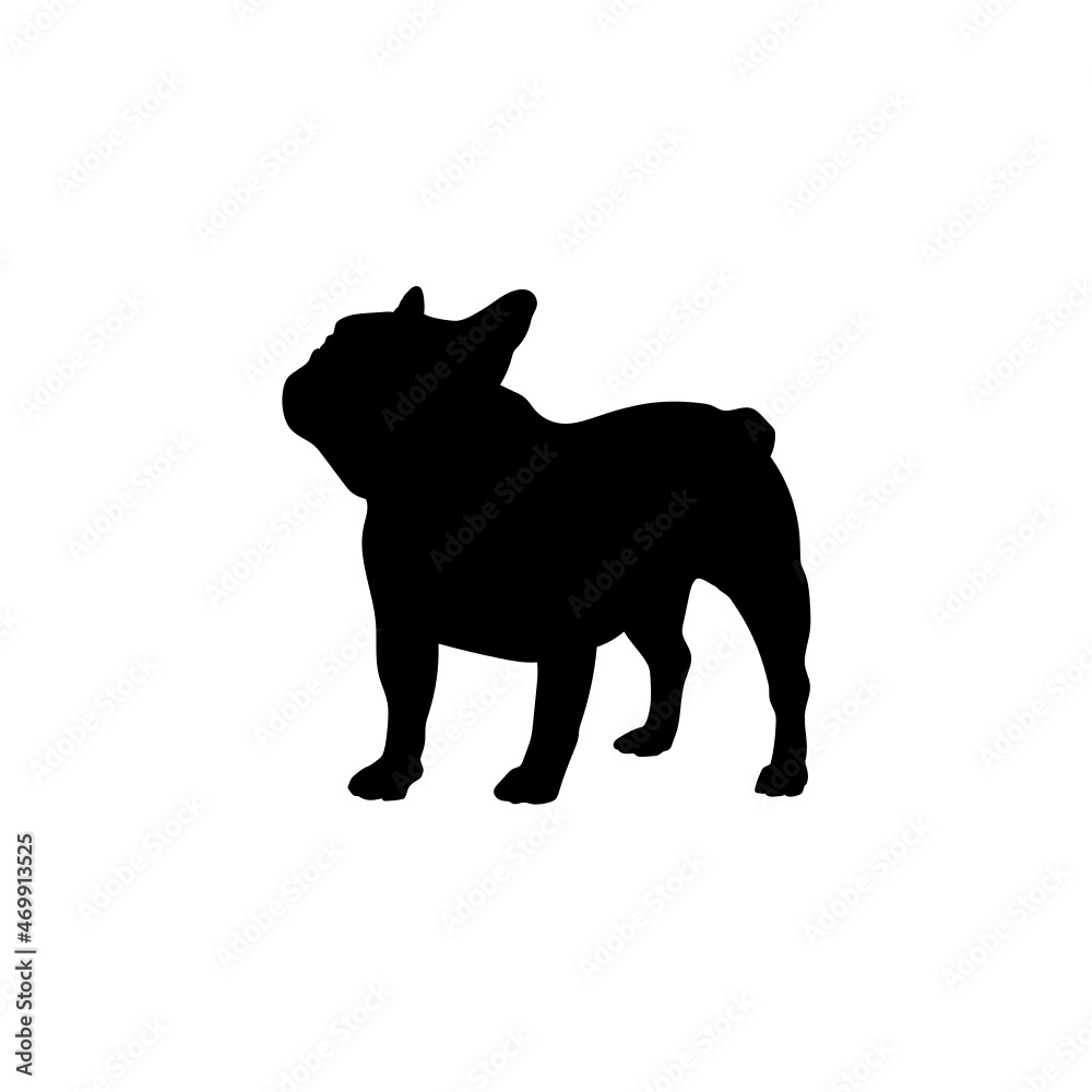 Naklejka premium Dog silhouette. Breeds