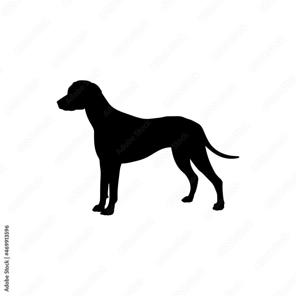 Dog silhouette. Breeds