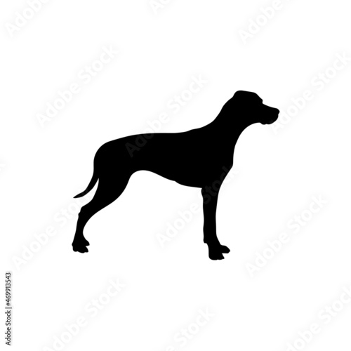 Dog silhouette. Breeds