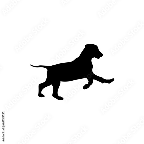 Dog silhouette. Breeds