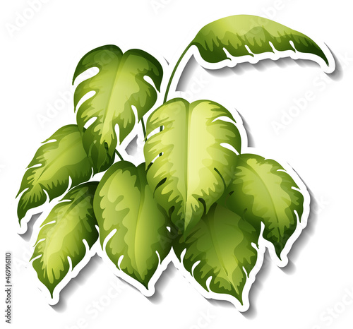 Tropical leaves brush sticker on white background
