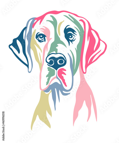 Great dane dog vector color contour portrait vector photo