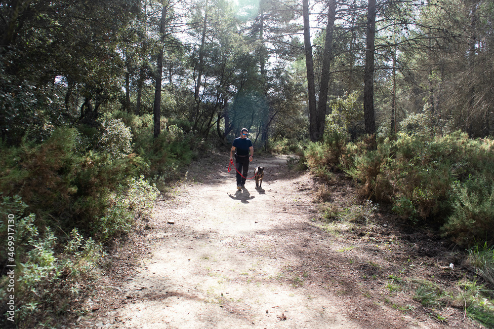 Mi amigo fiel y yo de paseo por el bosque