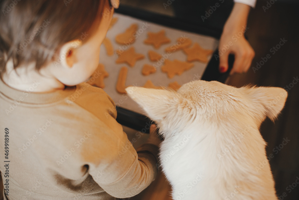 Family baking gingerbread cookies. Cute little daughter, dog and mother holding tray with christmas cookies close up. Family holiday preparation, xmas culinary. Best friends, authentic moment