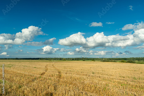 Traces of a wheel on a stubble field and clouds on a blue sky
