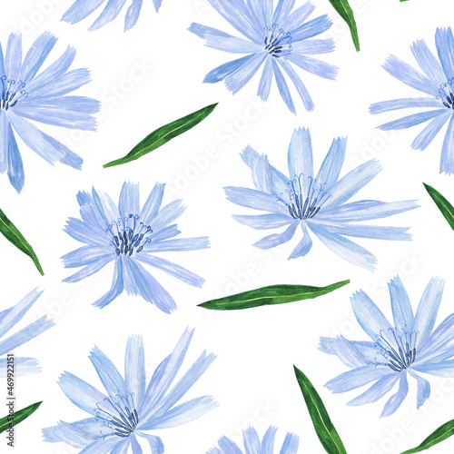 Chicory blue-lilac flower seamless pattern on white background. Watercolor hand drawing illustration for herbal card  textile  wallpaper.