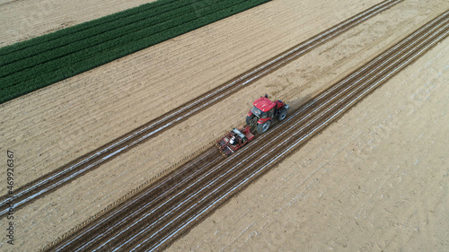 Farmers use planters to plant mulched peanuts, aerial photos, North China