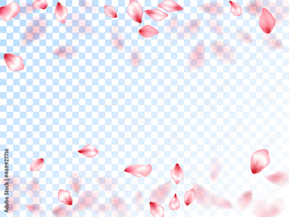 Japanese cherry petals on transparent background. Japanese cherry petals on transparent background.