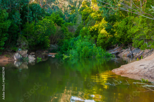 Landscape with reflections of trees in the water