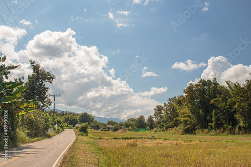 road in the countryside