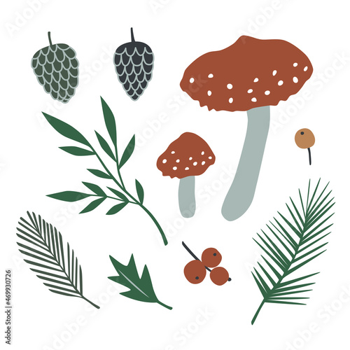 Vector collection with amanita mushrooms and forest plants