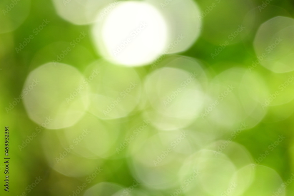 Obraz premium Freshness concepts background., nature abstract backdrop.