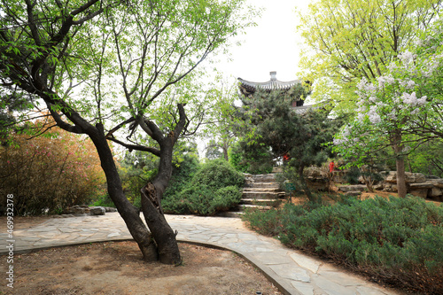 Chinese traditional Pavilion architectural landscape in Yuyuantan Park. photo