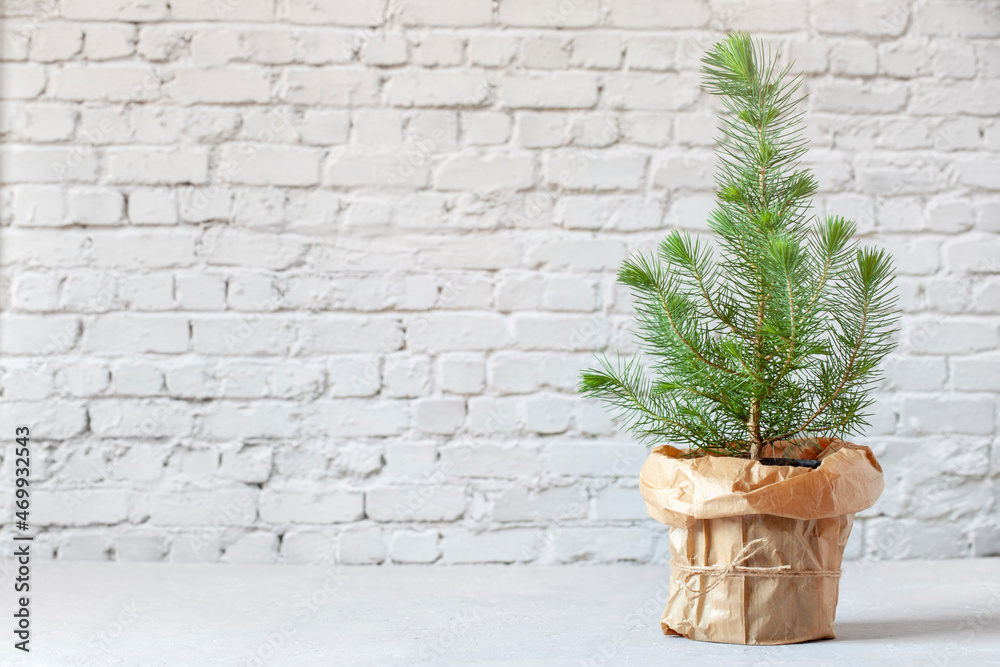 Small Christmas tree on the brick wall background
