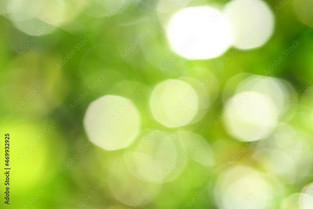 Obraz premium Abstract nature backgrounds concepts, wilderness 