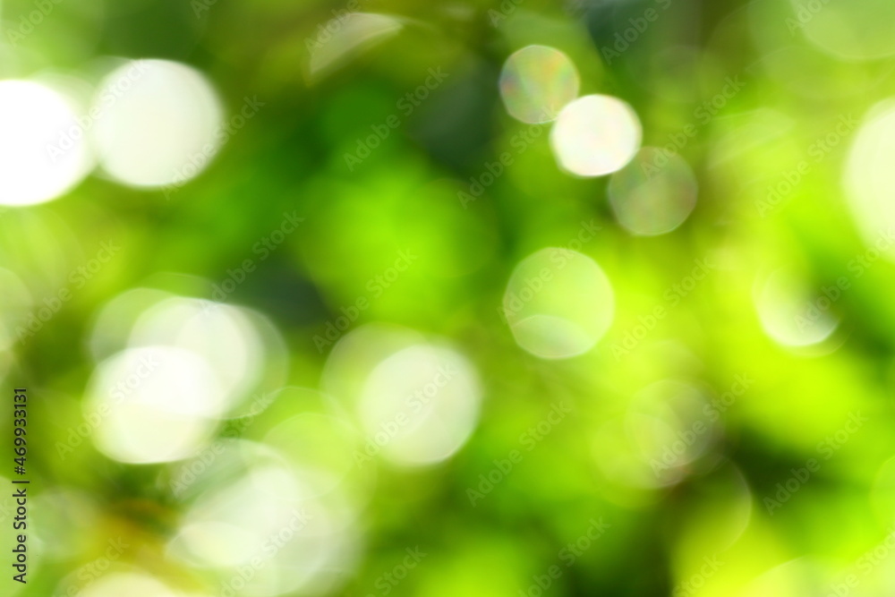 Abstract nature backgrounds concepts, wilderness Abstract nature backgrounds concepts, wilderness