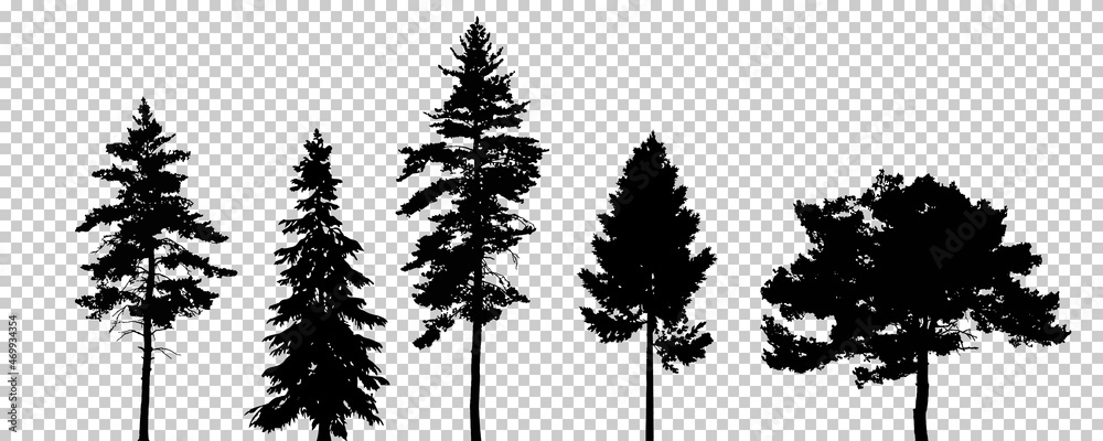Tree set vector eps 10. Vector illustration on transparent background.
