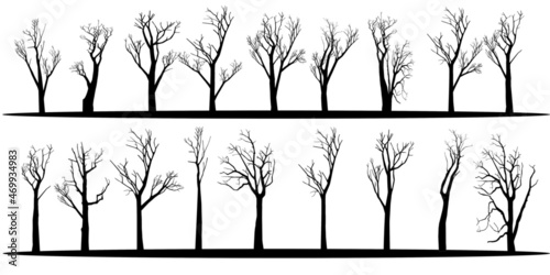 vector illustration set Dry bare tree silhouette with no living leaves. Dead wood. Hand drawn damaged environment. isolated on a white background