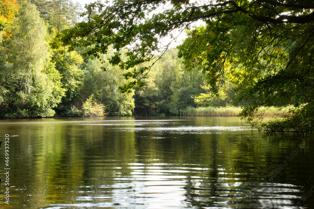 Calm lake in the Palatinate Forest of Germany on a sunny fall day. Calm lake in the Palatinate Forest of Germany on a sunny fall day.